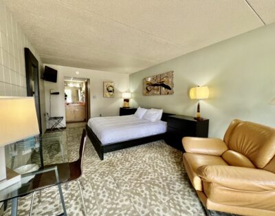 Downtown Cedar Falls Studio – Free Gated Parking! (511)